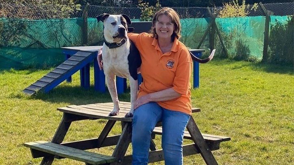 North Clwyd Animal Rescue worker with a dog