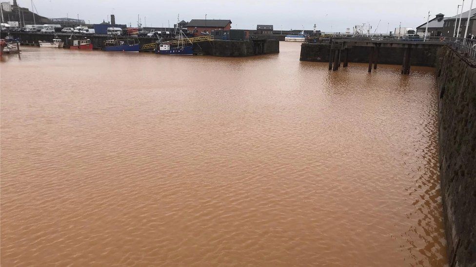 The discoloured water at Whitehaven Harbour