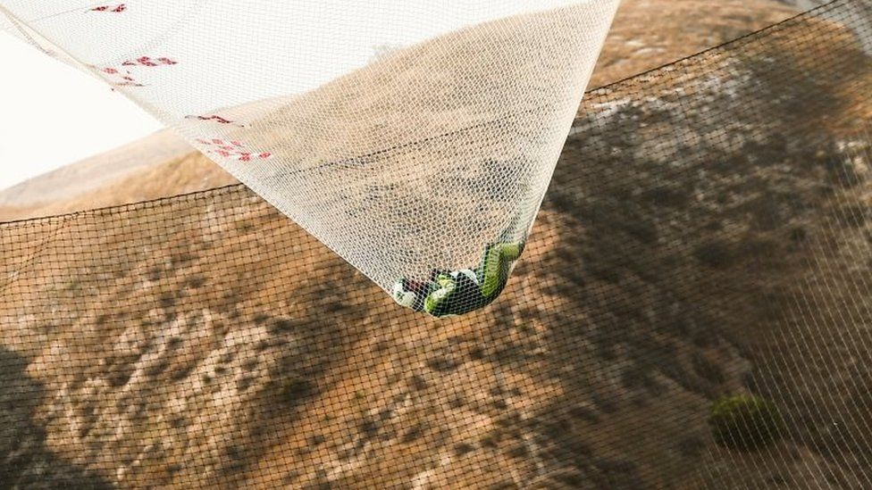 Skydiver Luke Aikins lands safely in the net. Photo: 30 July 2016
