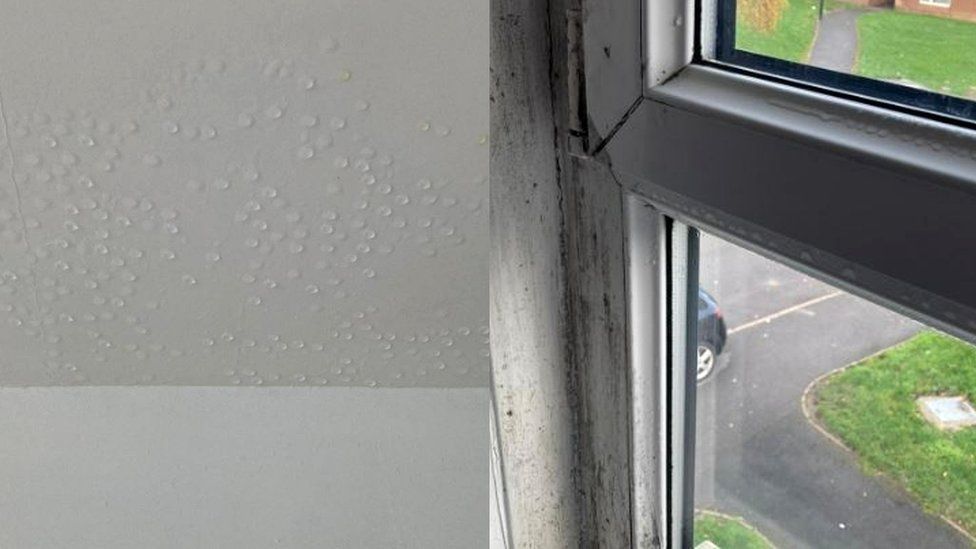 Water dripping from ceiling and mouldy window frame