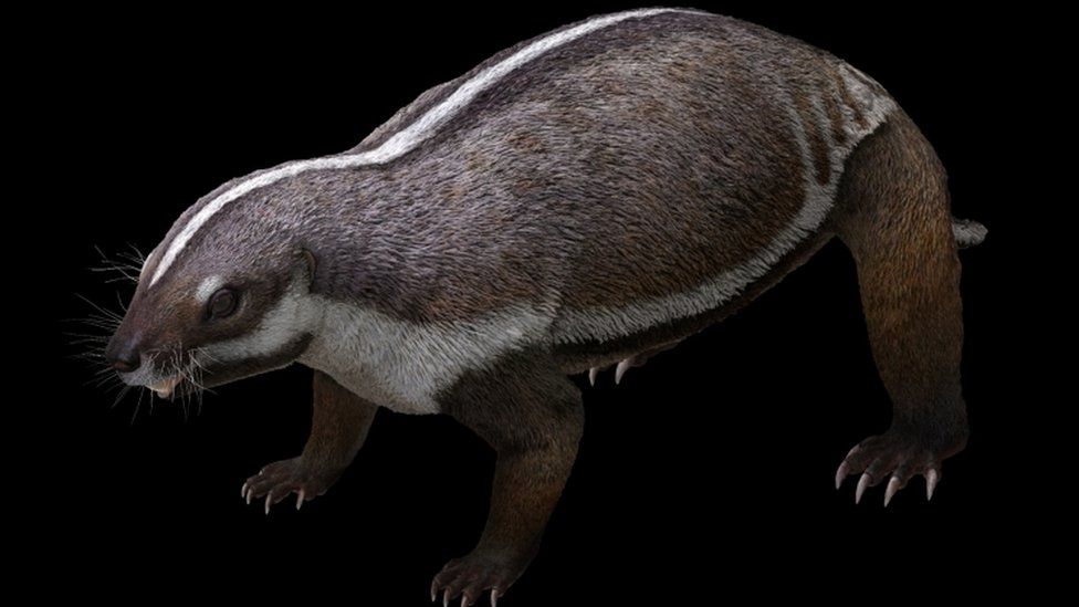 'Crazy beast' lived among last of dinosaurs