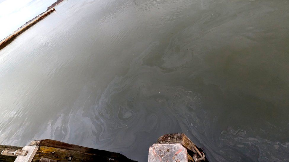 Oil sits on the surface of the water at Poole Harbour