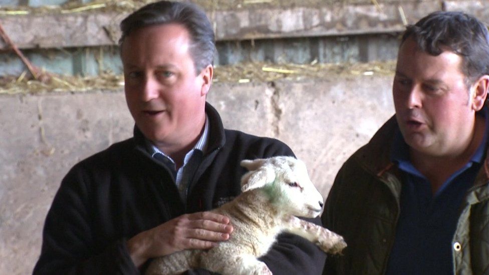 David Cameron holding a newborn lamb during a visit to a farm in Denbighshire
