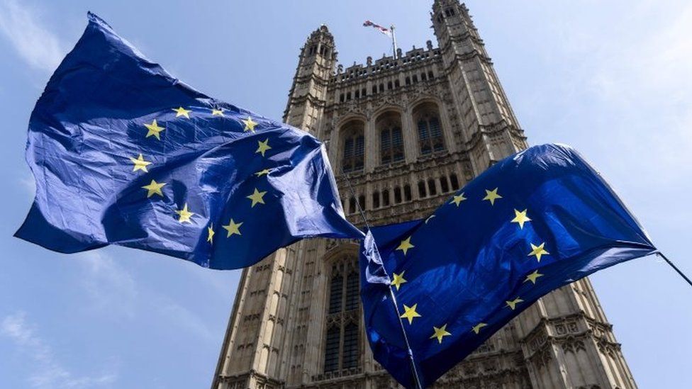 Parliament and EU flag