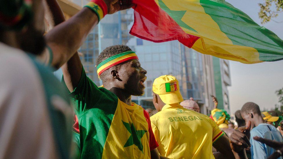 Africa's week in pictures: 4-10 February 2022 - BBC News