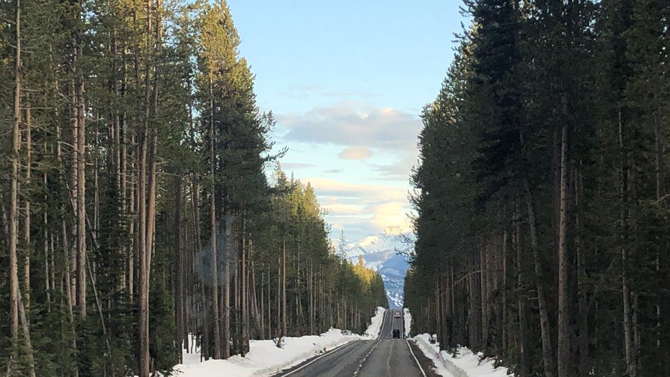 The road to the Yellowstone National Park