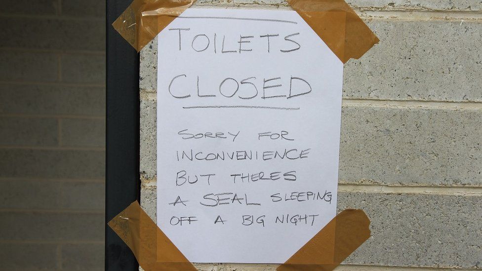A sign placed in front of the public toilet block