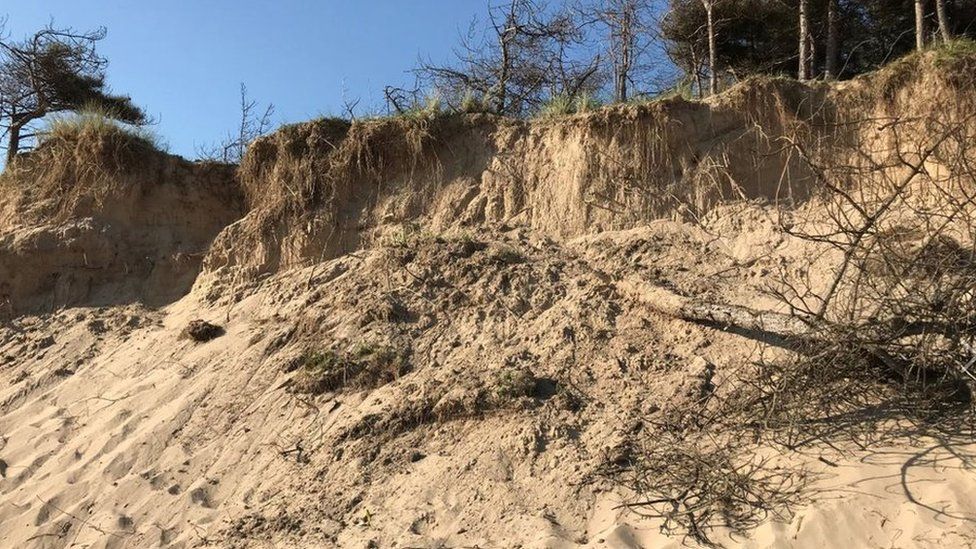The collapsed sand dune on Newborough Beach, Anglesey