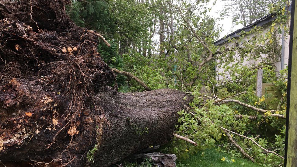 Storm Hannah: Gusts make Wales 'windiest place in the UK' - BBC News