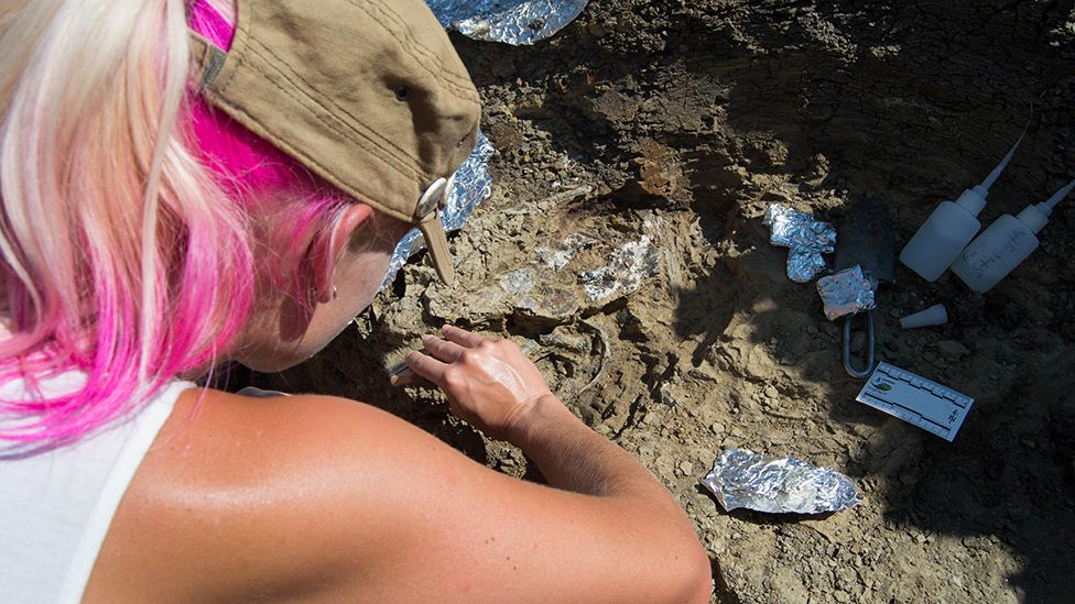 Melanie During excavates fossil paddlefish bones at Tanis