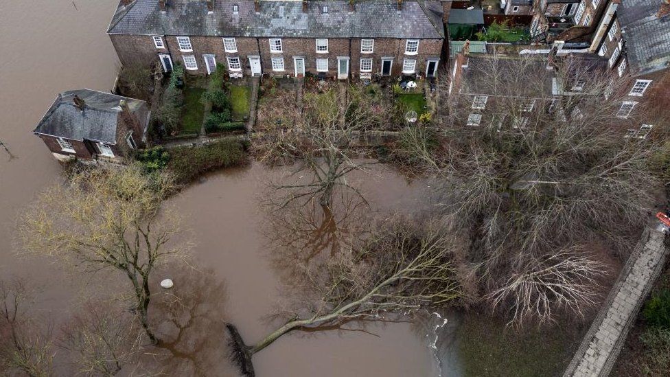 A fallen tree in flood water in York