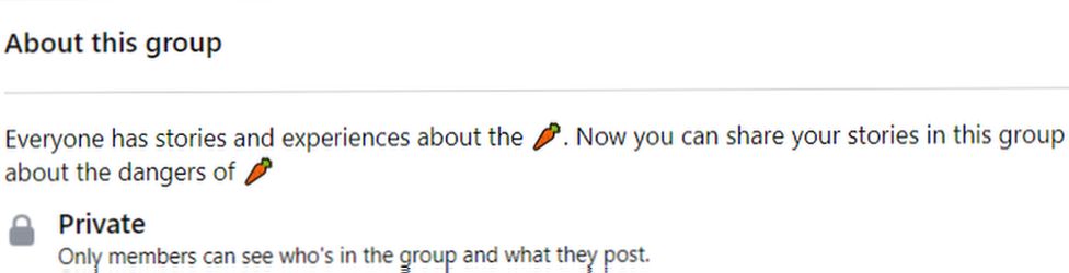 Example of a Facebook group using the carrot emoji