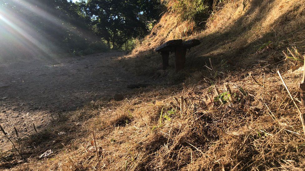 Dry grass on hills