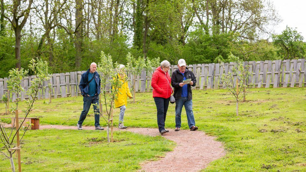 Apple-shaped orchards open at Brockhampton estate - BBC News