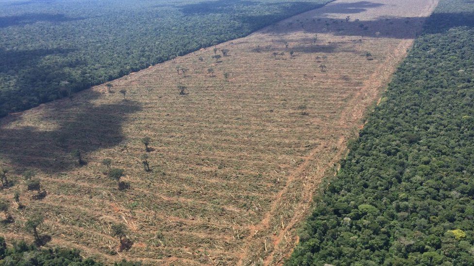 Aerial view of devastation in the Amazon