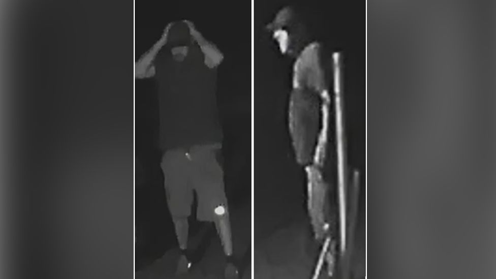 CCTV footage of dog theft suspects