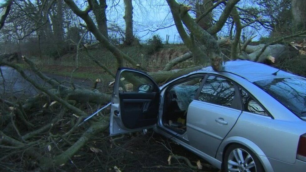 A tree fell on a car on the Mullagh Road in Maghera, County Londonderry