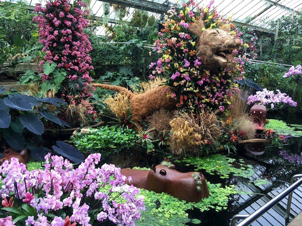 Kew Gardens' Orchid Exhibition.