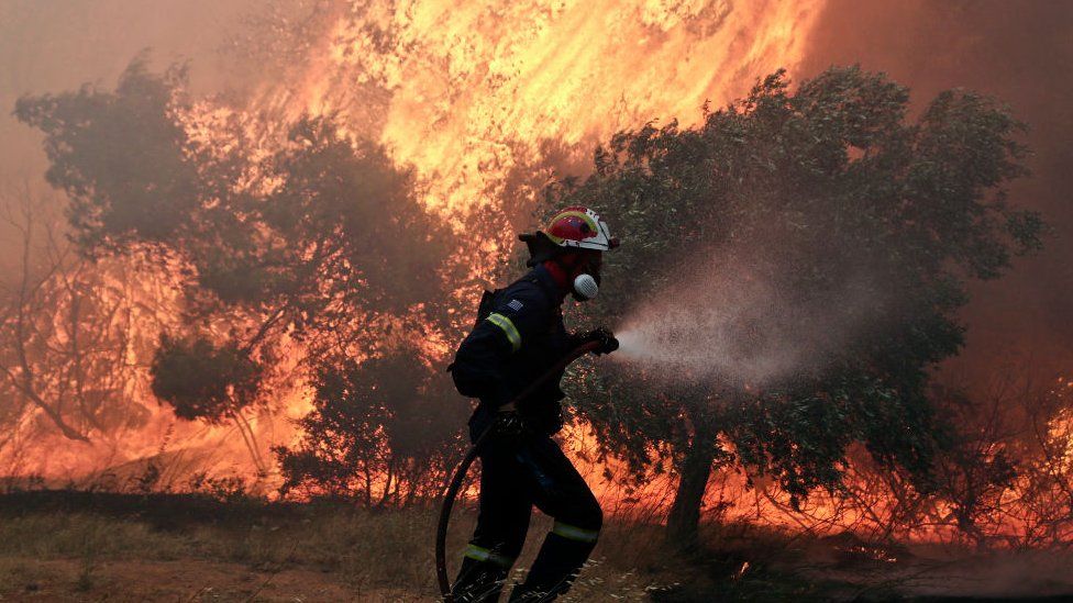 Лесной пожар в Греции
