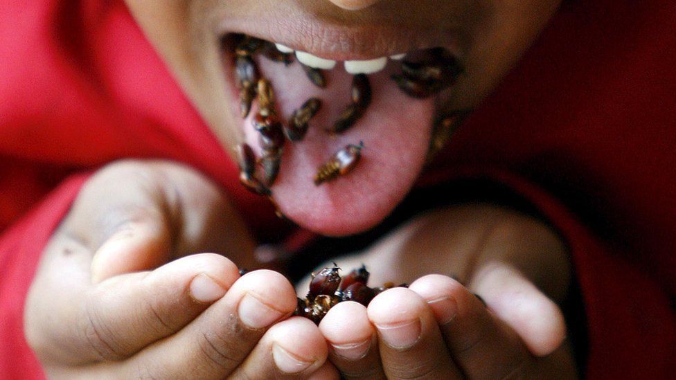 Termites cover a boy's tongue