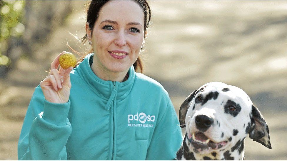 Vet Gemma Hepner with Pongo and the golf ball that was removed from his stomach