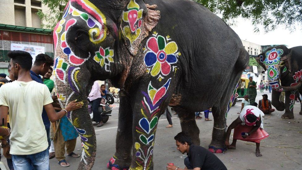 An Indian elephant is painted ahead of the annual Hindu festival Rath Yatra in Ahmedabad on July 3, 2019. - Rath Yatra, an annual Hindu festival, is scheduled to start on July 4 this year and will be led by some 15 elephants