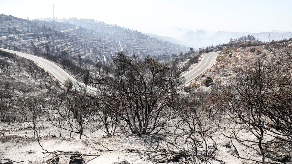 A burnt area is seen following a wildfire near the Tzuba, on the outskirts of Jerusalem (16 August 2021)