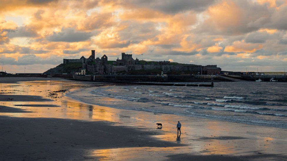 Мужчина выгуливает собаку на пляже Пил