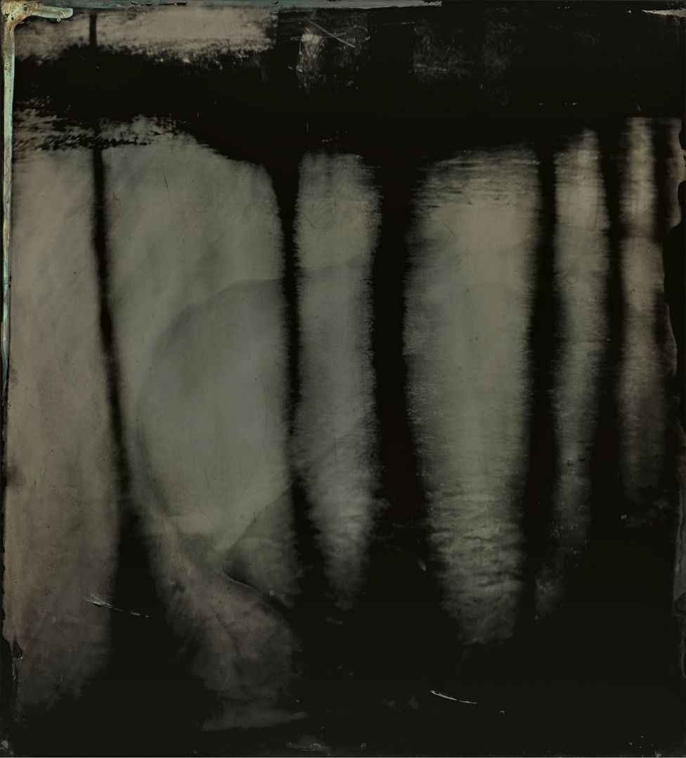 Tintype image of the Great Dismal Swamp in south-eastern Virginia, USA