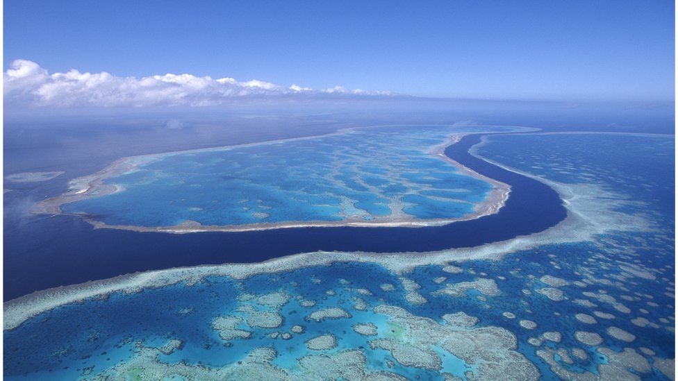 Bird's-eye view of the Great Barrier Reef