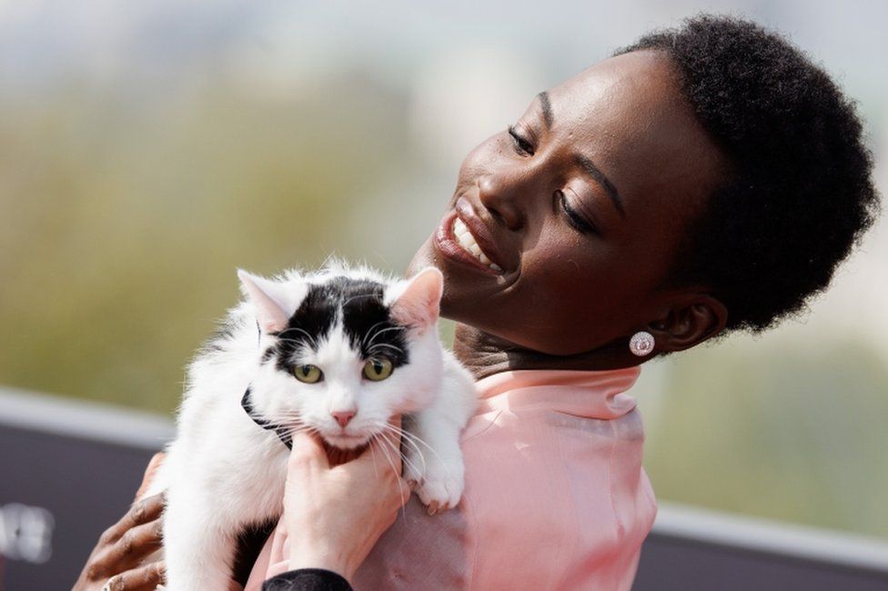 Kenyan actor Lupita Nyong'o poses with the cat Schnitzel at a photocall for the movie A Quiet Place Day One.