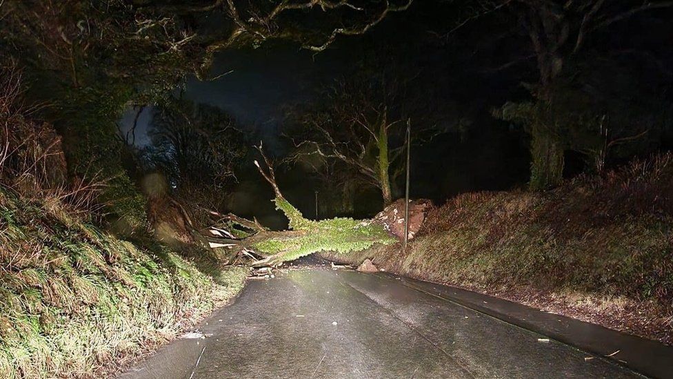 A road blocked by a fallen tree between Hermon and Llanfyrnach, North Pembrokeshire.