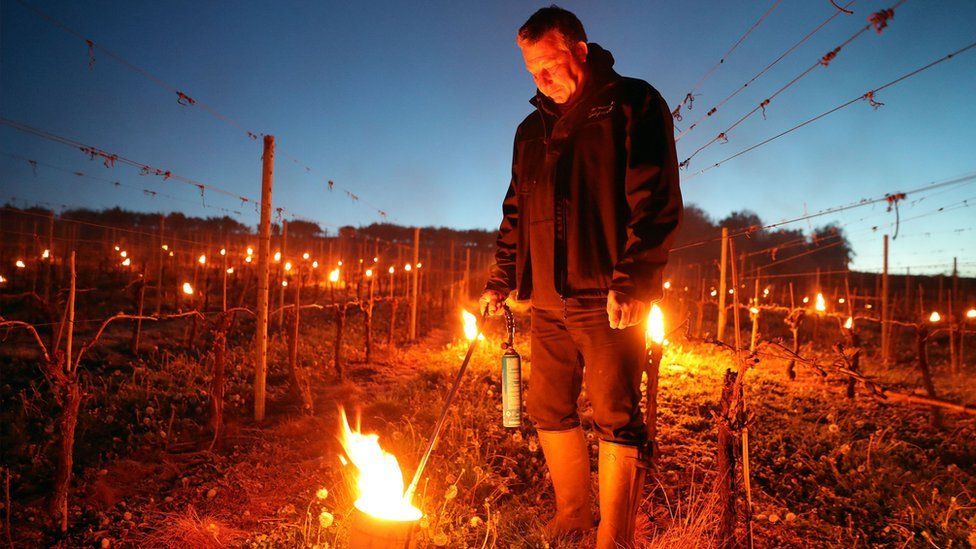 Candles at the Leckford Estate farm vineyard in Hampshire