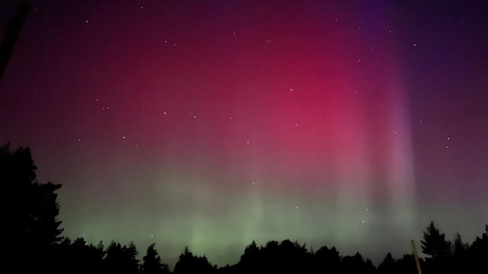 Night sky with red and greens of the aurora sanding out above silhouettes of trees.