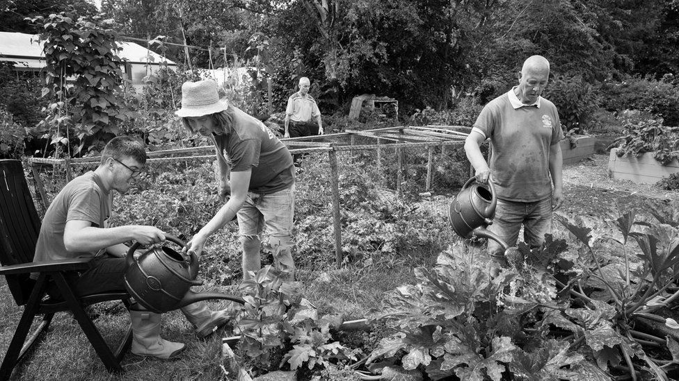 Volunteers in action at Windmill Hill City Farm
