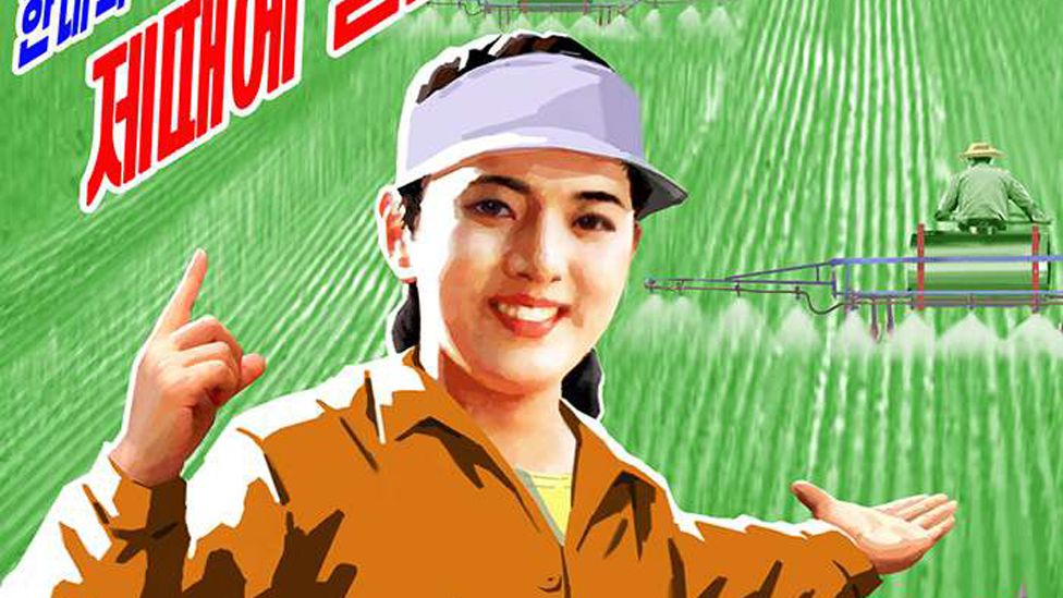 North Korean propaganda poster on agricultural production