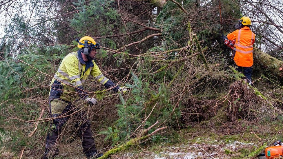 Workers cut away fallen tree