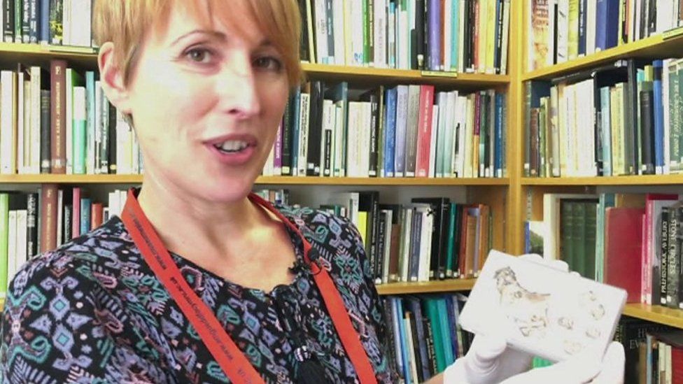 Metal detecting helps increase treasure finds in Wales BBC News