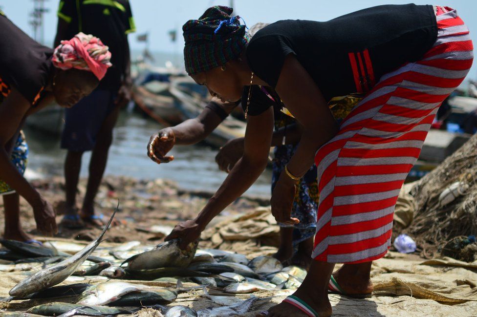 In Pictures Fishing In Sierra Leone Bbc News