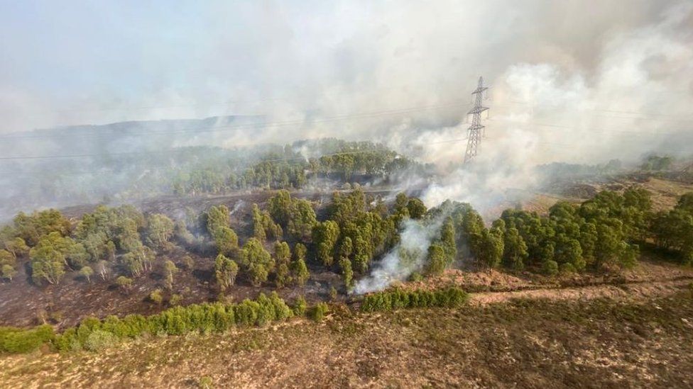 Warning of 'very high' wildfire risk across Scotland - BBC News