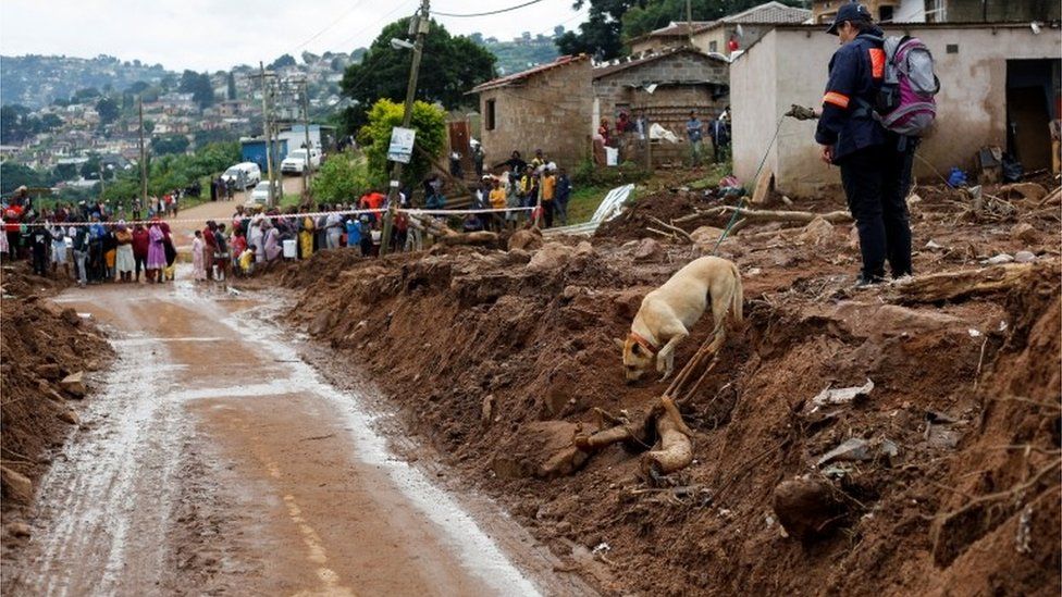 A search and rescue team member uses a dog to search for bodies in Dassenhoek near Durban, South Africa, April 17, 2022