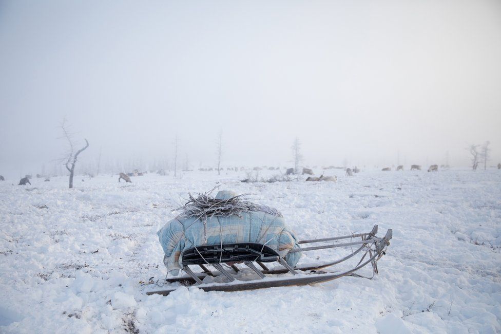 A packed sled, ready for migration. Yamal Peninsula, Siberia, Russia.