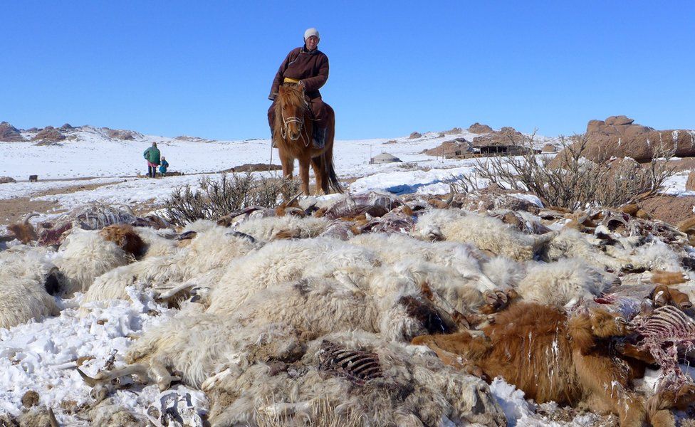 A herdsman on a horse next to a pile of animal carcasses