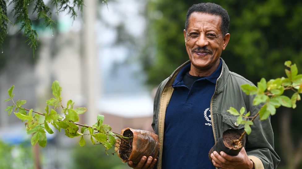 Эфиопский мужчина позирует с саженцами деревьев во время национальной кампании по посадке деревьев в столице Аддис-Абебе, 28 июля 2019 г.