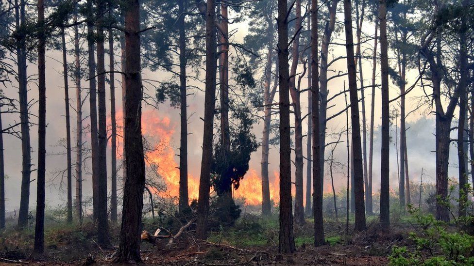 More than 10km of vegetation was alight