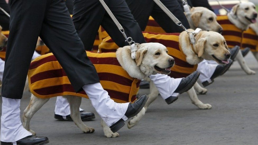 Indian Army soldiers march beside their dogs during the Army Day parade in New Delhi, India