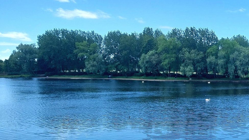 Looking across Stanley Park Lake with trees and a fisherman in the distance on the shore and swans on the lake