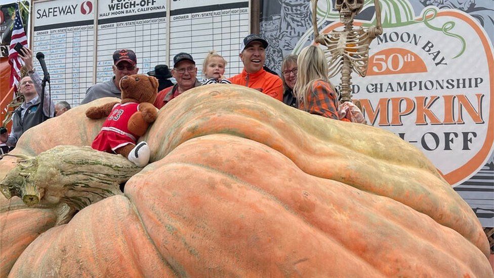 Massive pumpkin