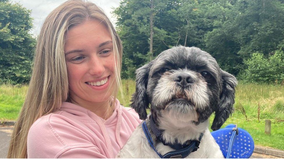 Bluegreen algae found in Lough Erne near Castle Archdale BBC News