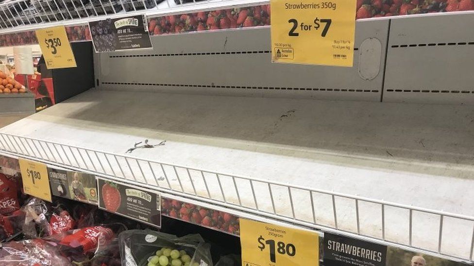 An empty strawberry shelf at a supermarket